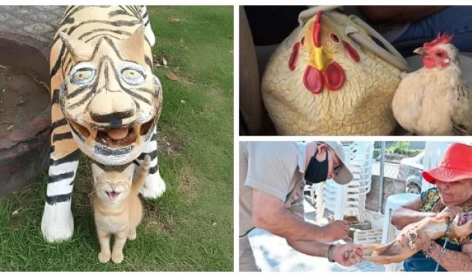 24  примера милоты, дарящей позитив и  чистое тихое счастье (25 фото)