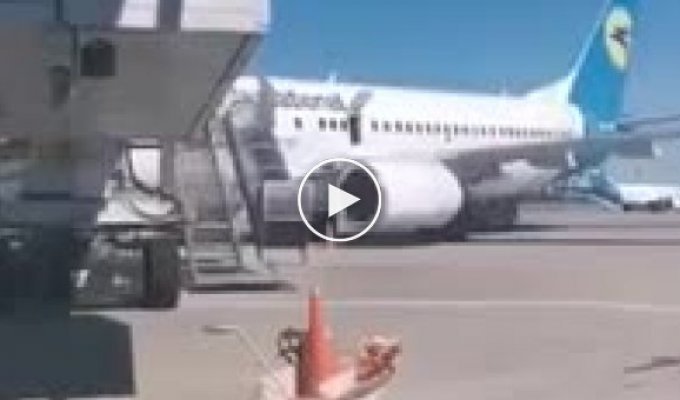 В Борисполе девушка решила позагорать на крыле самолета