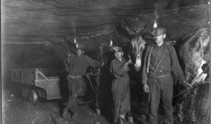 О чем пели американские шахтеры (текст + видео)