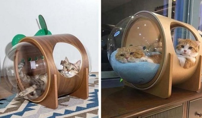 Интересные домики для кошек, вдохновлённые космосом и космическими кораблями (9 фото + 1 видео)