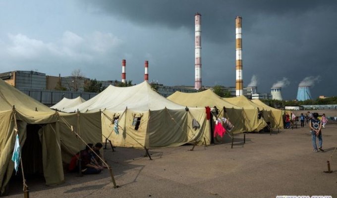 "Палаточный городок" для мигрантов в Москве (26 фото)