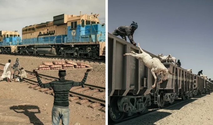 25 shots of a trip on the famous "Desert Train" in Mauritania (26 photos)