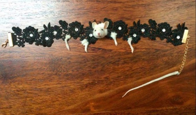 Ожерелье из мышки для любителей таксидермии (4 фото)