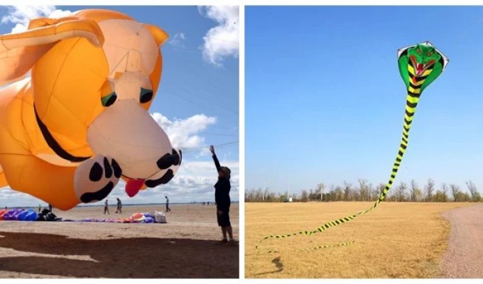 25 unusual kites, each of which you want to catch and keep for yourself (26 photos + 1 video)