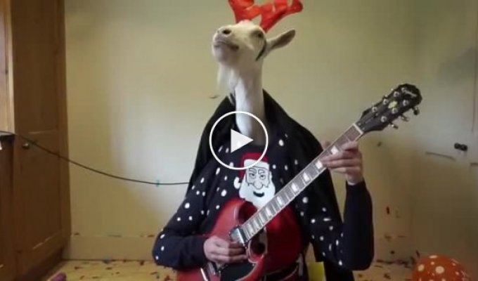 Коза под видом оленя «играет» на гитаре