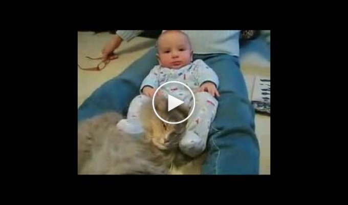 Малыш мучает кота