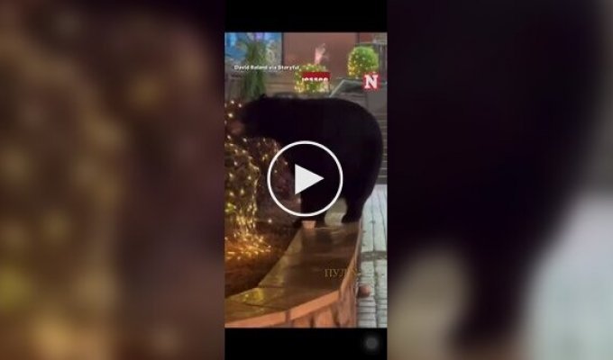 Медведь пришел на рождественскую ярмарку в США