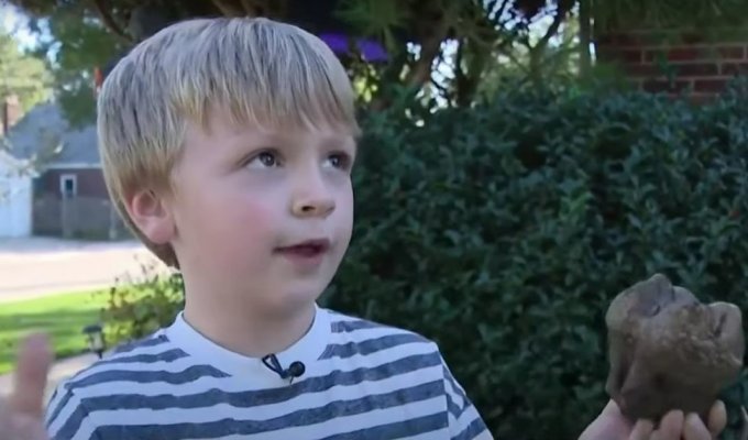 6-летний мальчик нашел гигантский зуб мастодонта: находке около 12 000 лет (5 фото + 1 видео)