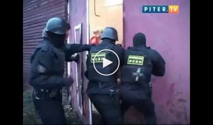 Задержание наркоторговца под Санкт-Петербургом