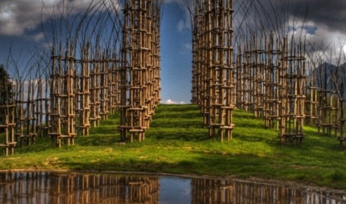 Храм из растущих деревьев в Италии (21 фото)