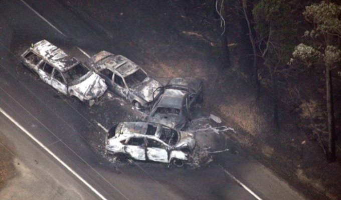 Пожары в Австралии (9 фотографий)