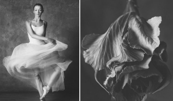 «Балерина и цветы» – серия о сходстве двух изяществ (13 фото)