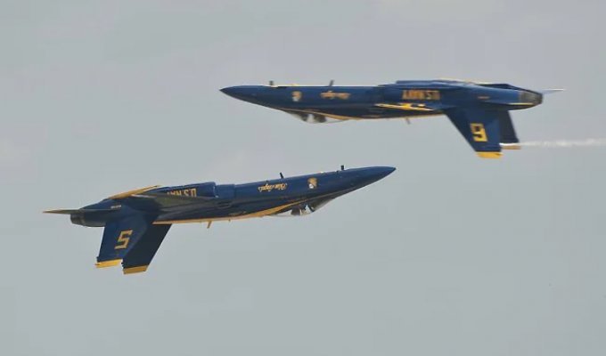 Шоу пилотажной группы Blue Angels (13 фото)