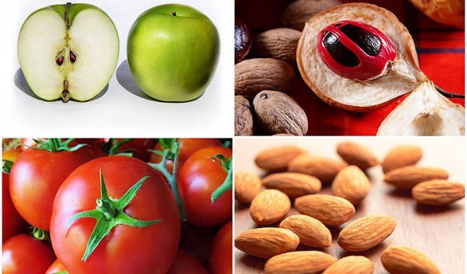 Ядовитые фрукты и овощи, ежедневно потребляемые нами в пищу (11 фото)