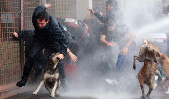 Студенческие протесты в Чили (33 фотографии)