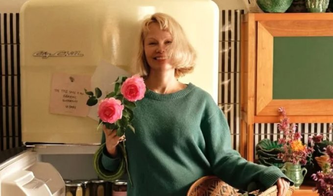 Памела Андерсон выпустила именную серию маринованных огурцов (5 фото)