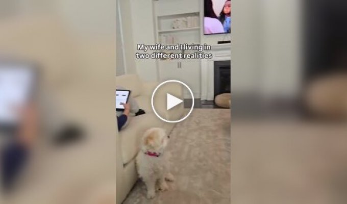Когда муж и жена живут в разных реальностях
