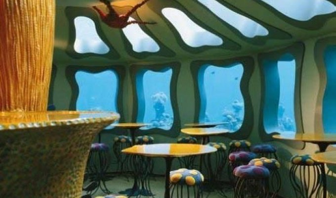 Ресторан под водой (10 фотографий)
