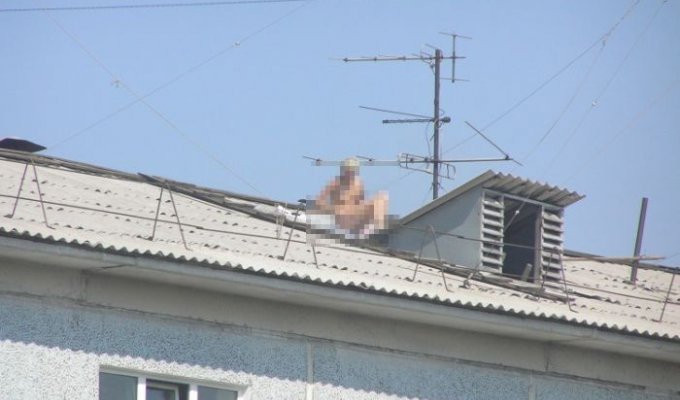 Девушка загорает на крыше топлес (6 фото) (эротика)
