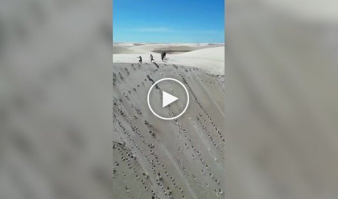 Lençóis Maranhenses National Park in Brazil