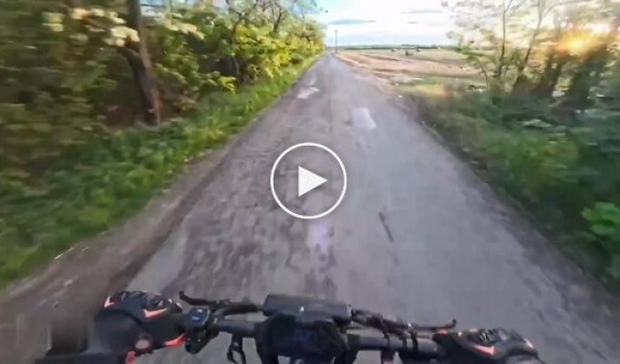 A cross-eyed hooligan: in Hungary, a hare hit a scooter rider in mid-air