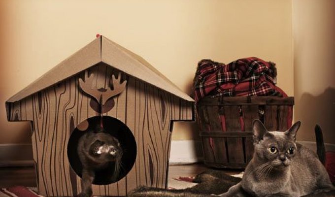 Картонные домики для кошек (6 фотографий)