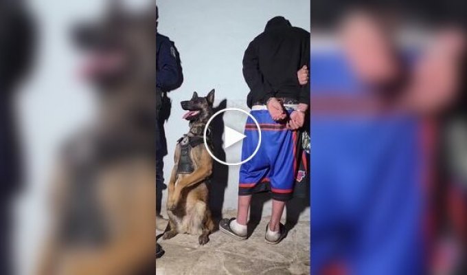 Счастливый работник месяца