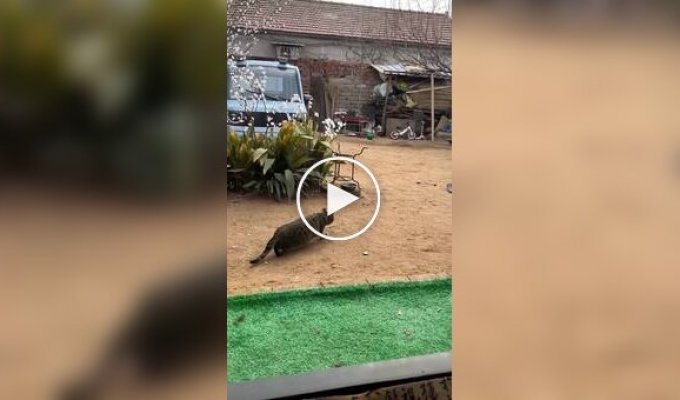 Миссия полностью провалена