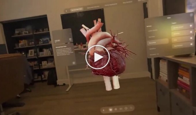 This is what a visualization of studying heart function looks like wearing Apple glasses
