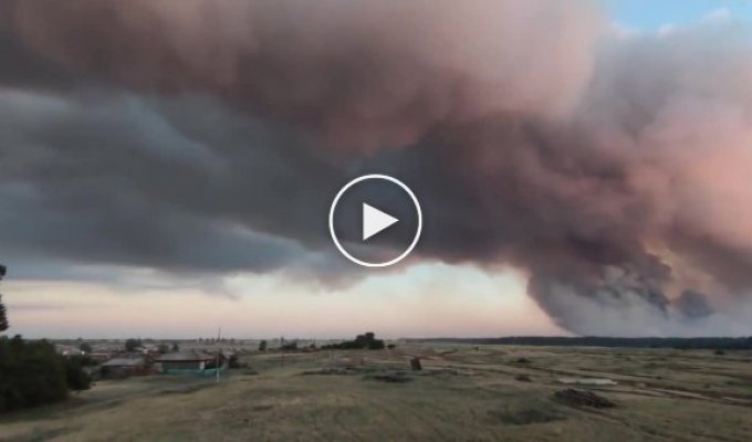 В Алтайском крае горит 2,3 тысячи гектаров земли, но тушит их один (да всего один!) самолет