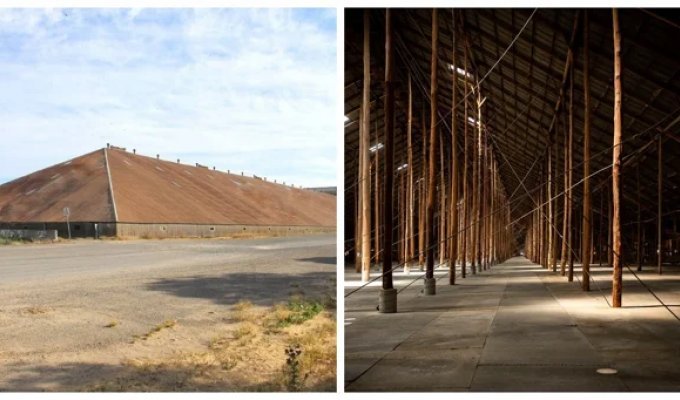 The strange "Murtoa" barn, the purpose of which is difficult to guess (10 photos + 1 video)