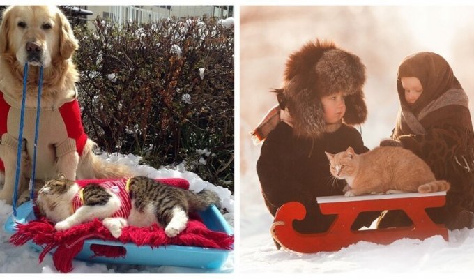 Sami with a mustache sat on a sleigh (21 photos)
