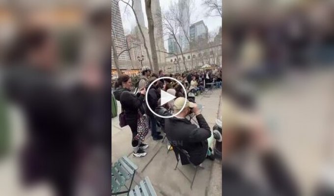 Редкая птица появилась в центре Нью-Йорка