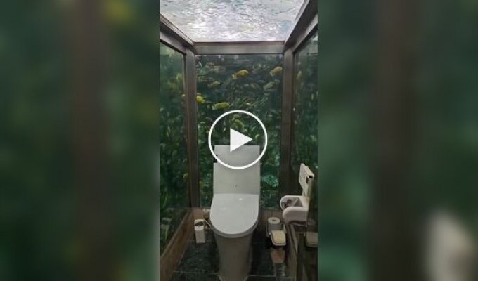 Toilet with aquarium