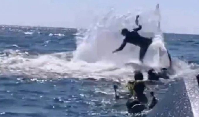 A humpback whale threw a guide into the air off the coast of Australia (4 photos + 1 video)