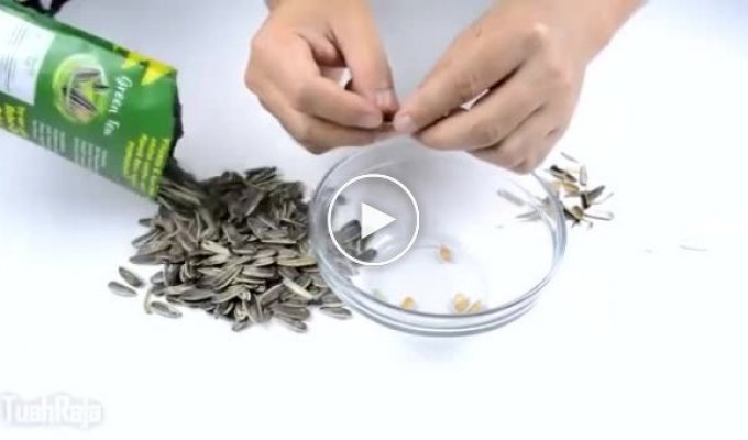 If you're tired of peeling seeds, then this video is for you!