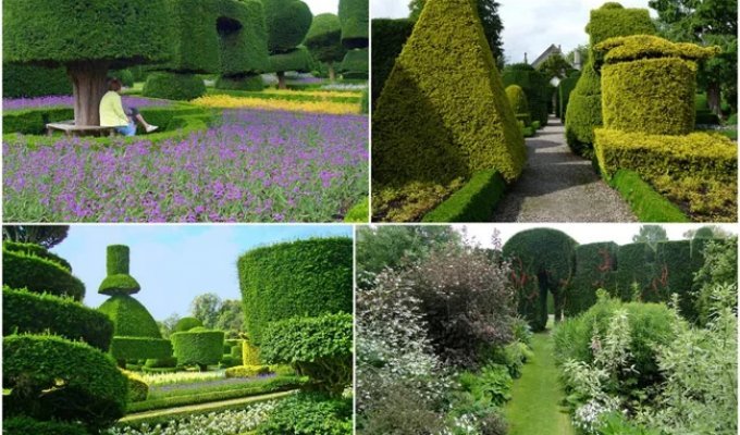 Levens Hall Gardens (36 photos)