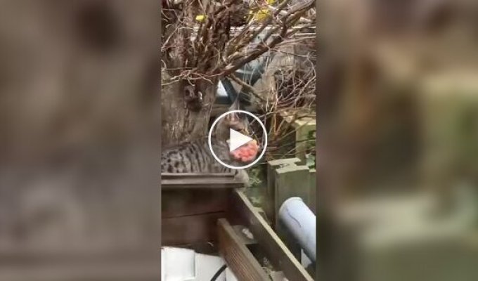 Охота удалась