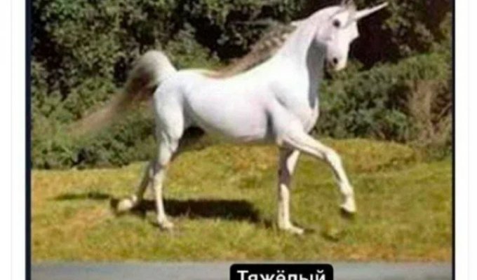 Подборка забавных твитов обо всем. Выпуск 763 (50 картинок)