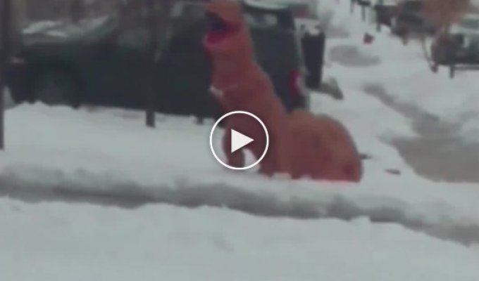 Two people in a dinosaur costume had a snowball fight