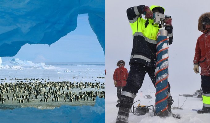 Добурились: учёные случайно нашли в Антарктике подводный мир (5 фото)