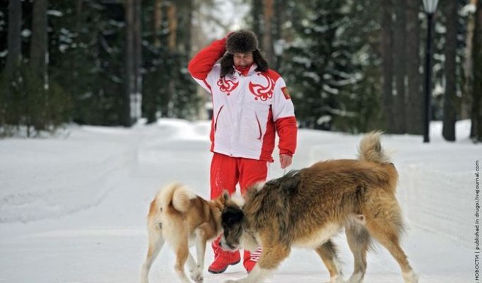 Путин со своими собаками (6 фото)