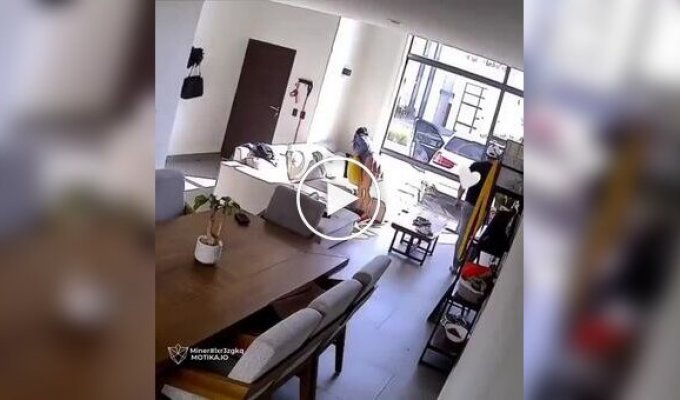 Когда домашние игры идут не по плану