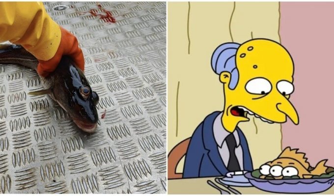 Another prediction from “The Simpsons” came true in Greenland (3 photos + 1 video)