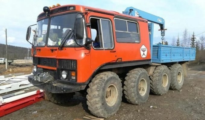 Самодельный покоритель Сибири: вездеход, сделанный из автобуса, грузовика и трактора (6 фото)