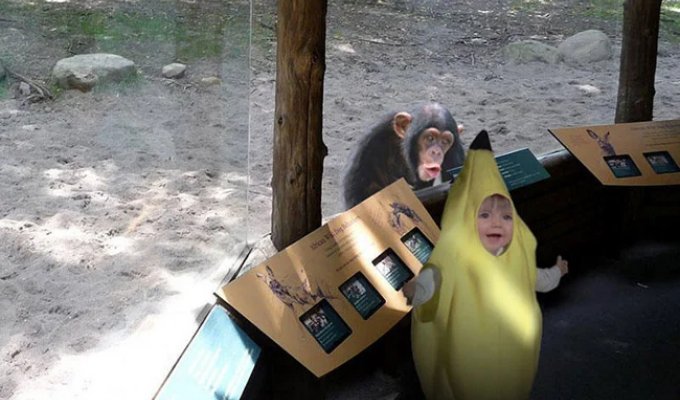 30 people who made friends at the zoo (31 photos)