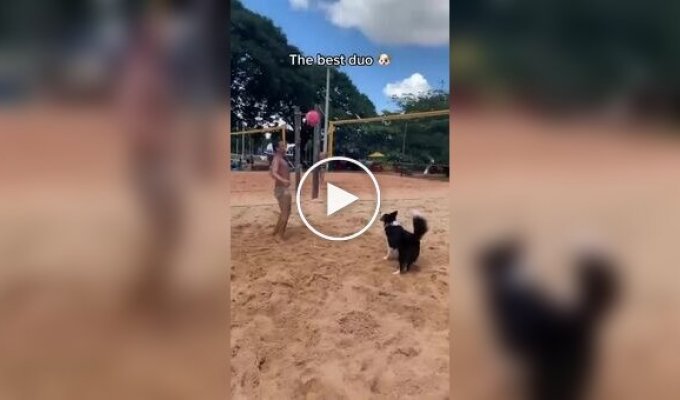 A dog has become a footvolley star in Brazil