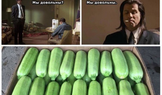 Новые шутки и мемы про "короля августа" - кабачок (14 фото)