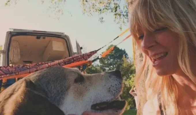 American woman shelters a homeless person the dog that ran after her taxi (4 photos)