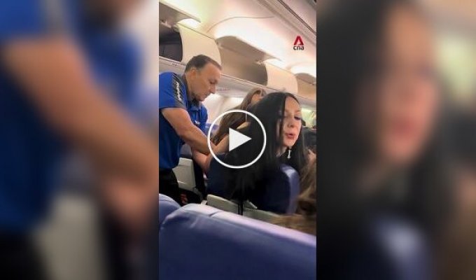 Пьяная художница схватила за волосы попутчицу в самолете, плюнула в нее